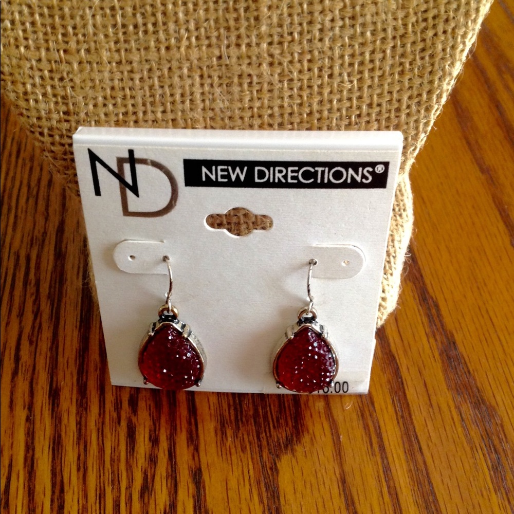 New Directions - Picture 3 of 5